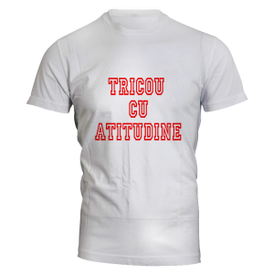 Tricou - Tricou cu atitudine