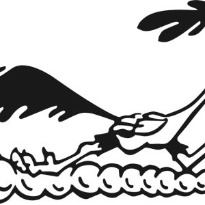 Autocolant auto- beep beep