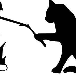 Autocolant auto - pisica